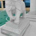内蒙古 白麻花岗岩动物异形石雕-大象